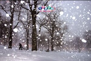 Mơ thấy tuyết báo điềm gì, đánh số gì dễ trúng?