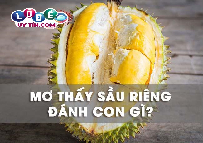 Chiêm bao mơ thấy quả sầu riêng đánh con gì trúng rực rỡ?