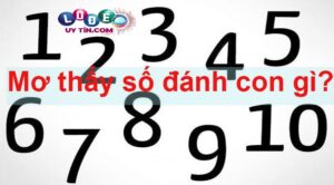 Mơ thấy nhiều con số đánh đề con gì? Giải mã bằng con số?