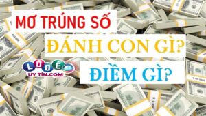 Mơ thấy mình trúng lô đánh con gì chính xác
