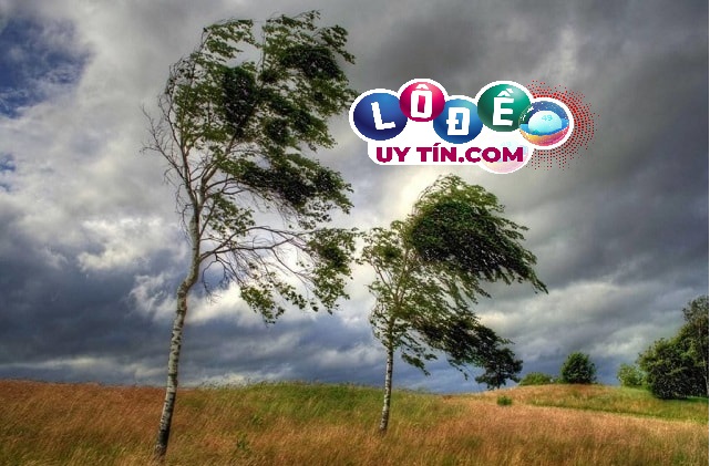 Nằm mơ thấy gió lớn đánh con gì? Là điềm báo tốt hay xấu?