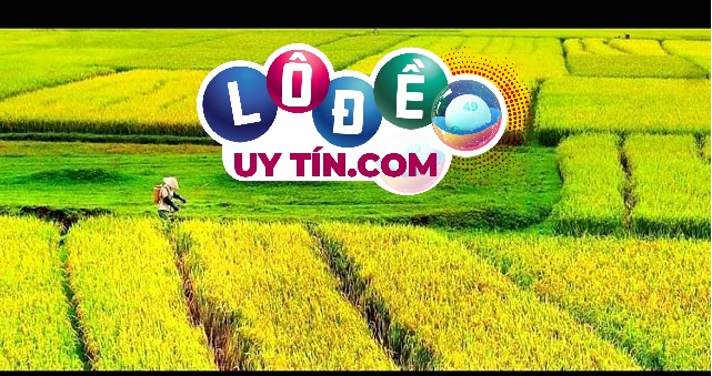 Mơ thấy đất đai có tốt không, đánh con số gì?