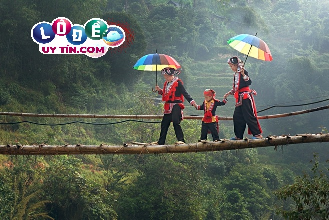 Mơ thấy đi qua cầu, cây cầu nên đánh con gì? Là điềm gì?