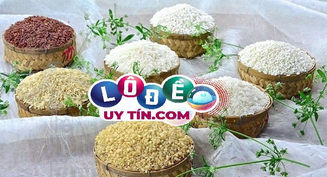 Giải mã mơ thấy gạo là điềm gì, đánh con gì phát tài?