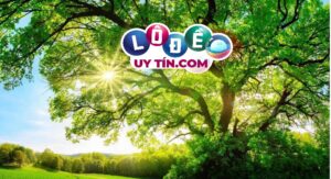 Nằm mơ thấy cây cối là điềm báo gì, đánh số gì?