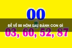 de-ve-00-hom-sau-danh-con-gi-1