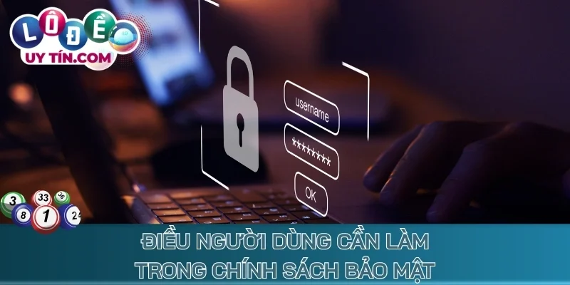 Điều người dùng cần làm trong chính sách bảo mật