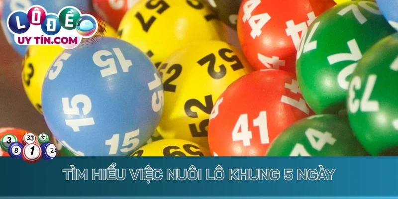 Tìm hiểu việc nuôi lô khung 5 ngày